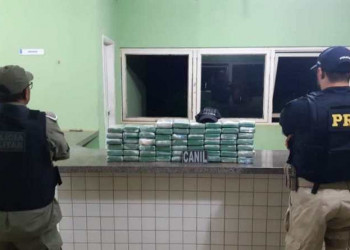 Polícia apreende cocaína no Piauí avaliada em mais de um milhão de dólares